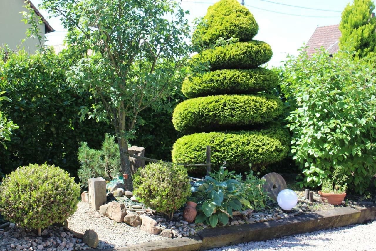 Gite Au Centre De L'Alsace Scherwiller Exteriör bild