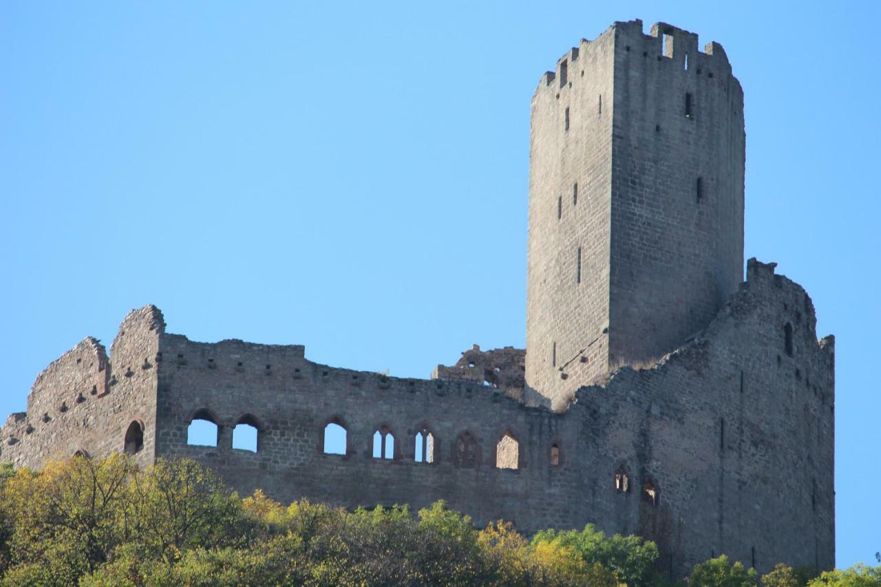 Gite Au Centre De L'Alsace Scherwiller Exteriör bild