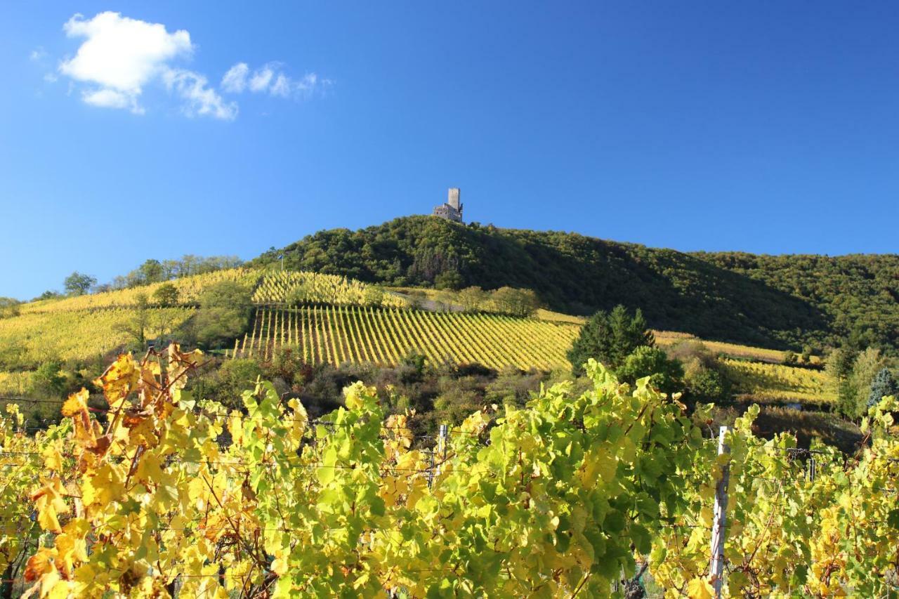 Gite Au Centre De L'Alsace Scherwiller Exteriör bild