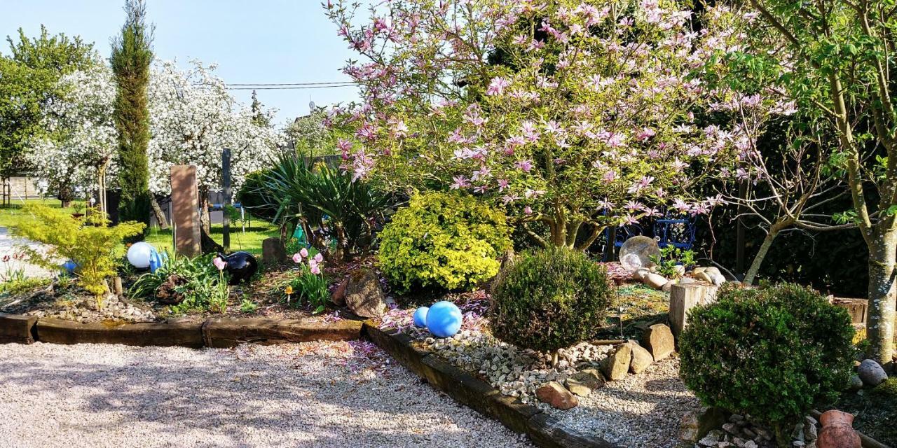 Gite Au Centre De L'Alsace Scherwiller Exteriör bild