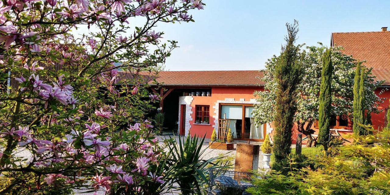 Gite Au Centre De L'Alsace Scherwiller Exteriör bild